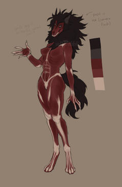 Sketch Custom